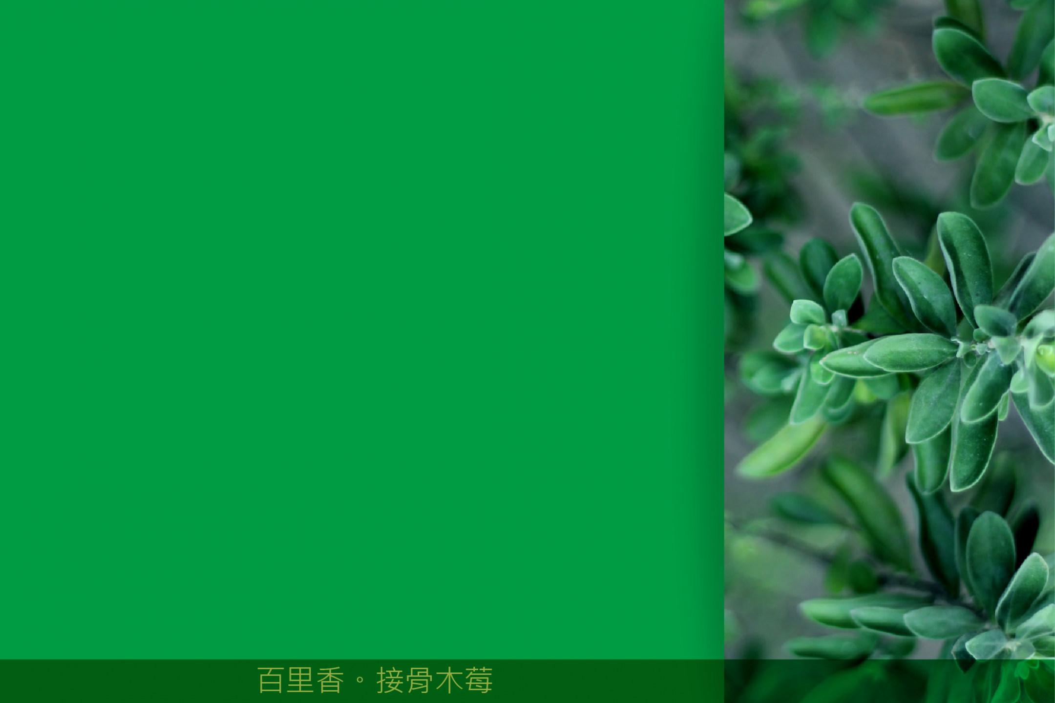 歐洲草本植物大廠Frutarom